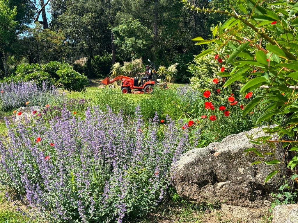 Jardin méditerranéen de l’Hôtel San Giovanni avec végétation luxuriante et ambiance apaisante.