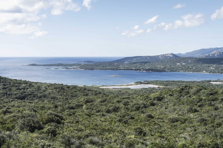 Vue panoramique sur la baie de Figari avec le maquis en premier plan et la mer en arrière-plan, Corse du Sud