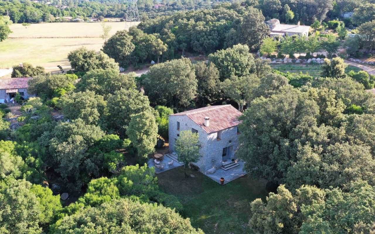 domaine pardini portovecchio luxe