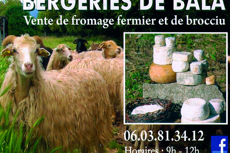 1-bergerie-bala-corsica-formaggio