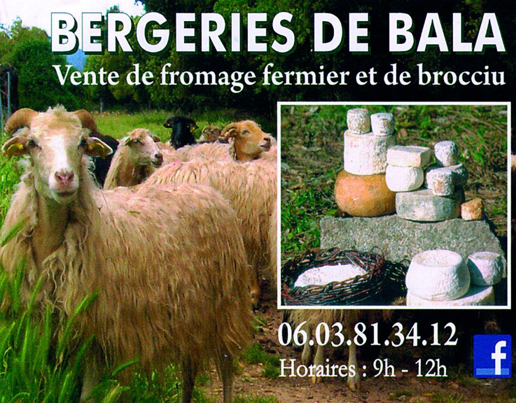 1-bergeries-bala-fromage-corse