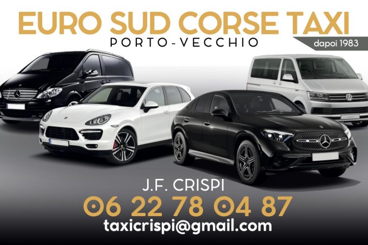 Photo de 4 véhicules qui font partie de la flotte d'Euro Sud Corse Taxi : un Porsche blanc, un van Mercedes noir, un van Volkswagen gris et un 4x4 Mercedes noir.