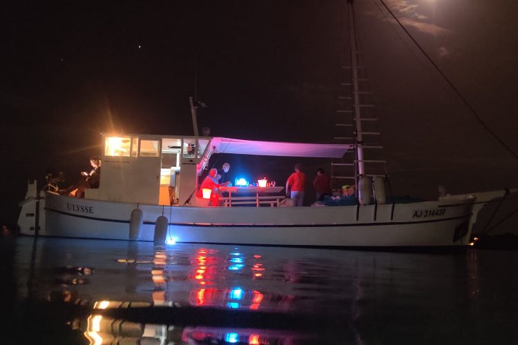 1 promenades du golfe boire un verre en mer insolite porto vecchio corse