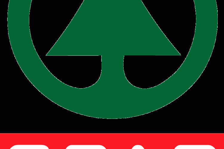 1-spar-supermarche-porto-vecchio-faire-ses-courses