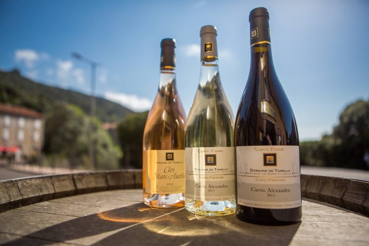 1-vincitore-domanda-tanella-cheese-vino-porto-vecchio-corsica
