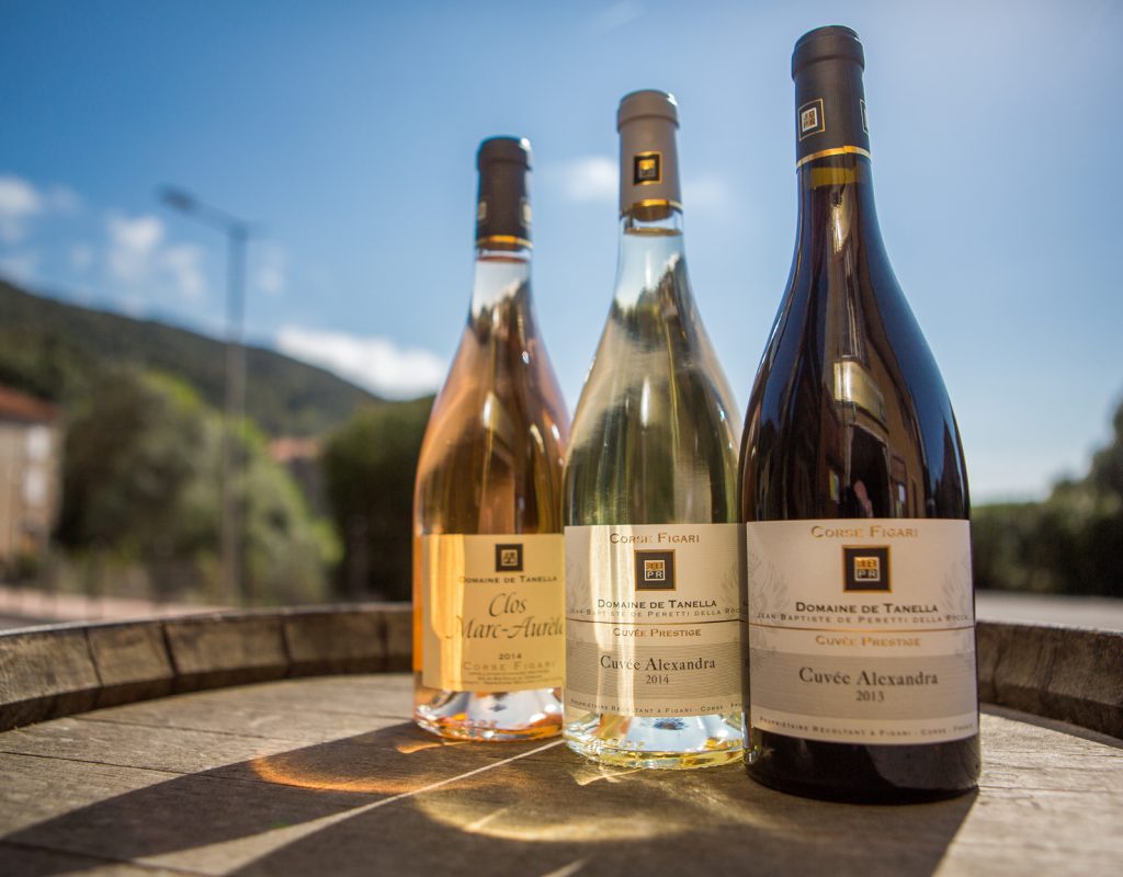 1-vigneron-domaine-tanella-fromage-vin-porto-vecchio-corse