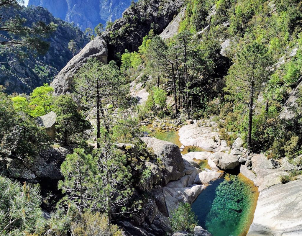 bavella canyon canyoning corse bavella