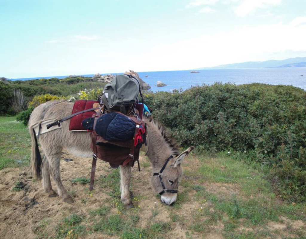2-alta-rocc-anes-balade-corse