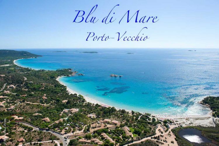 vue aérienne de la villa