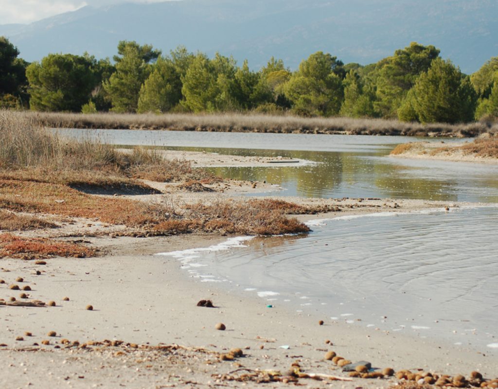 punta_arasu_conservatoir_littoral_corse