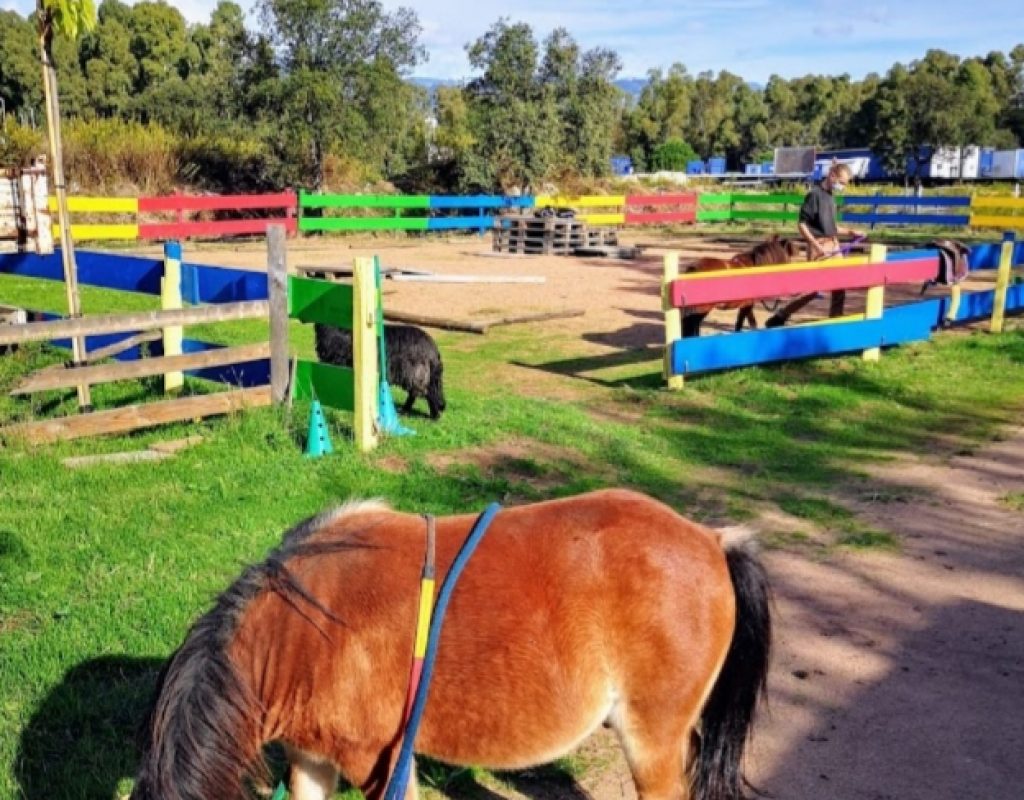 4 ferme padula activite porto vecchio corse