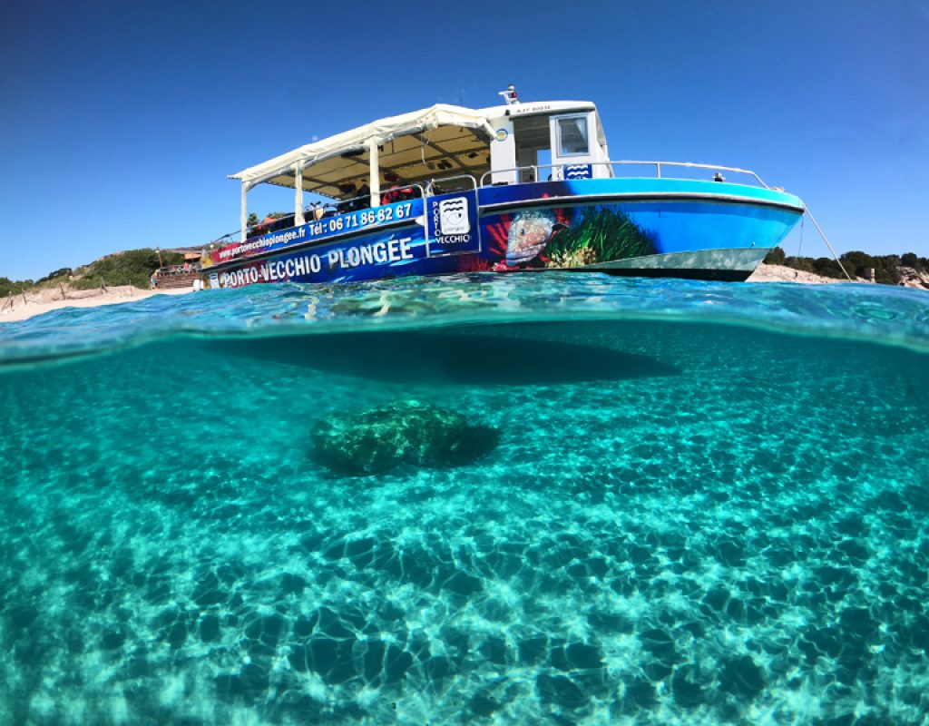 porto vecchio plongee corse