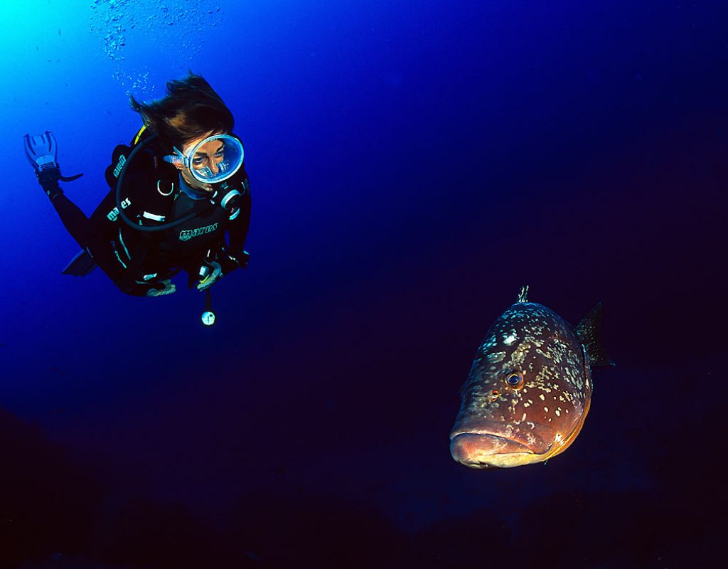 Femme en pleine plongée admirant un mérou