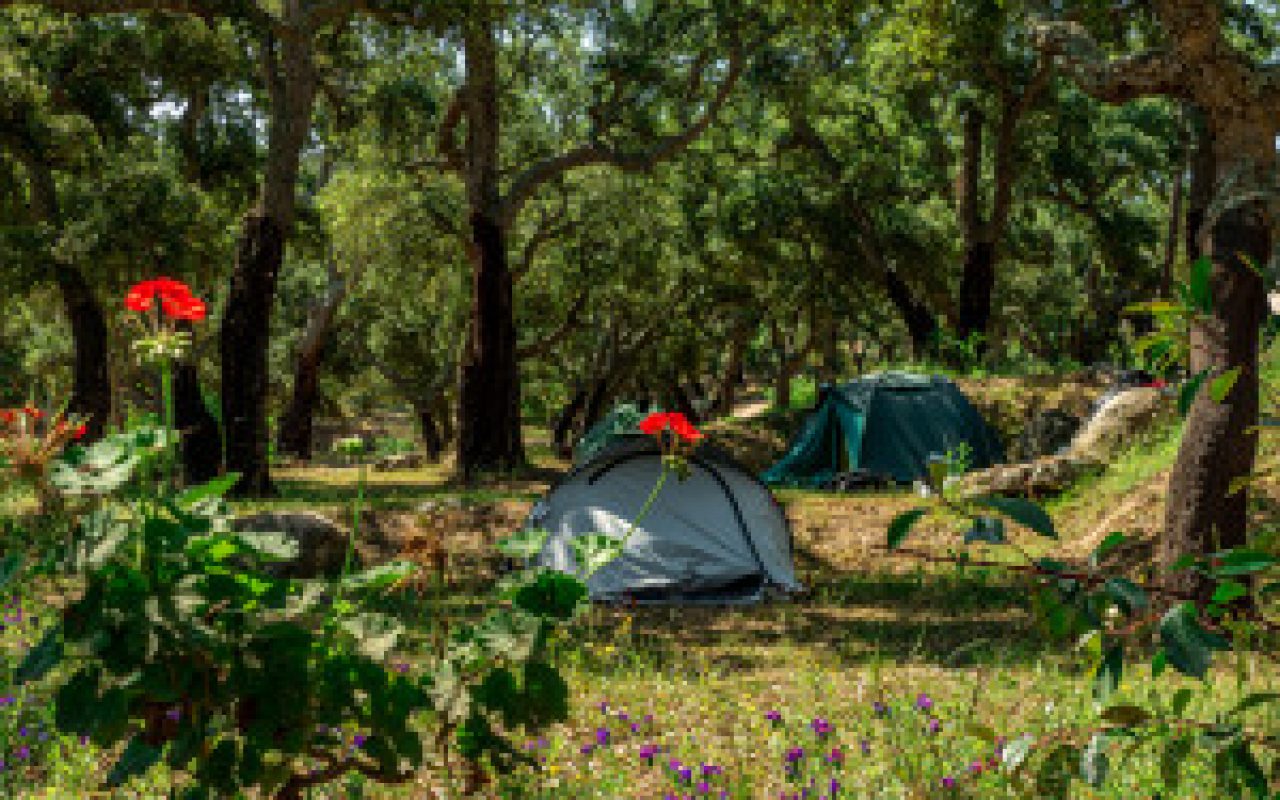 camping matonara porto vecchio