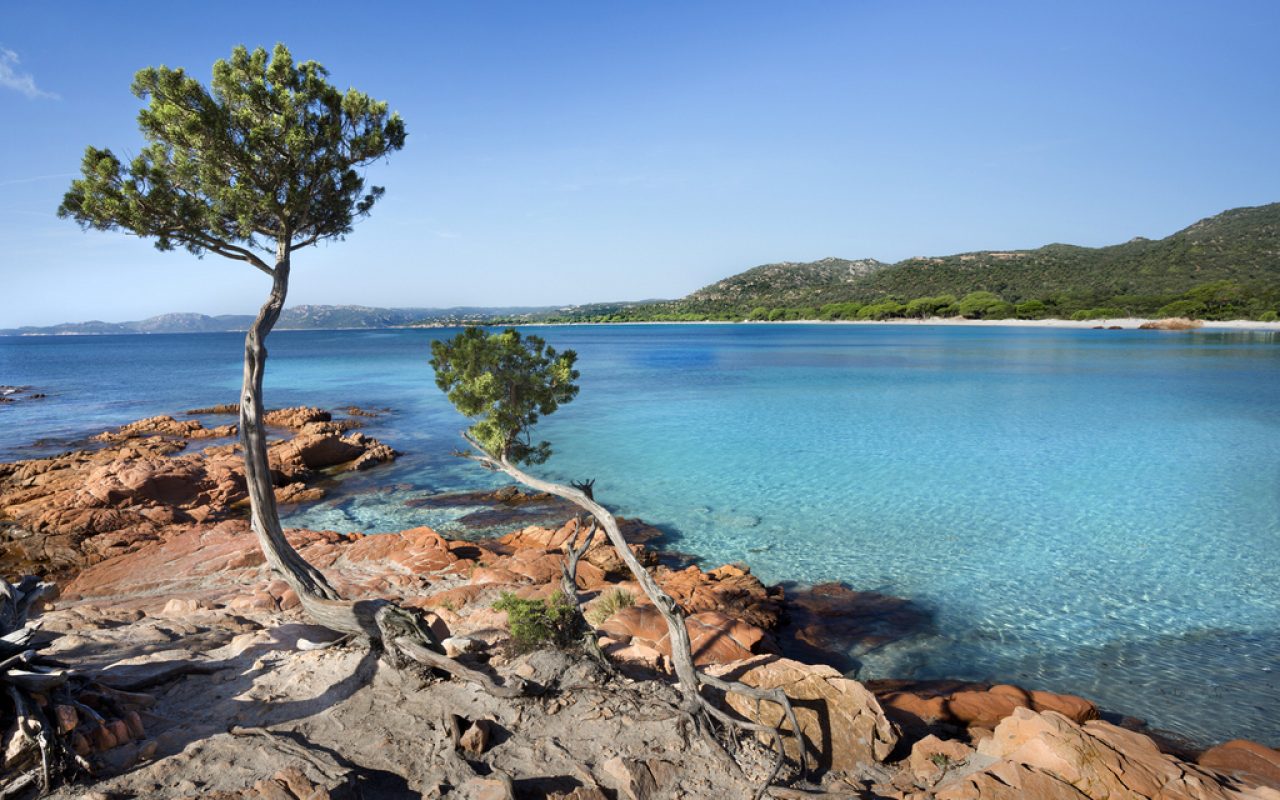 plage de palombaggia