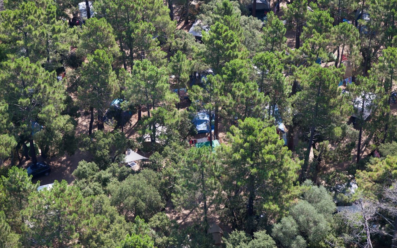 camping arutoli ombragé