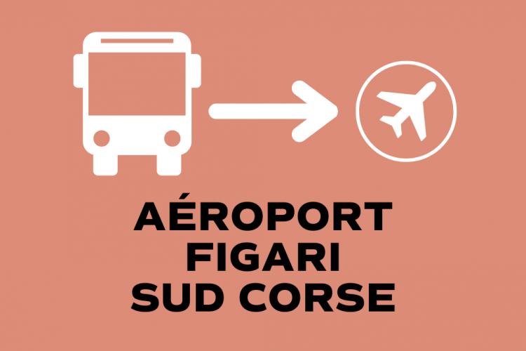 Bus Porto Vecchio _ _ Aéroport de Figari Sud Corse
