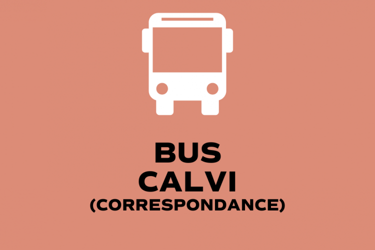 Bus Porto Vecchio _ _ Calvi