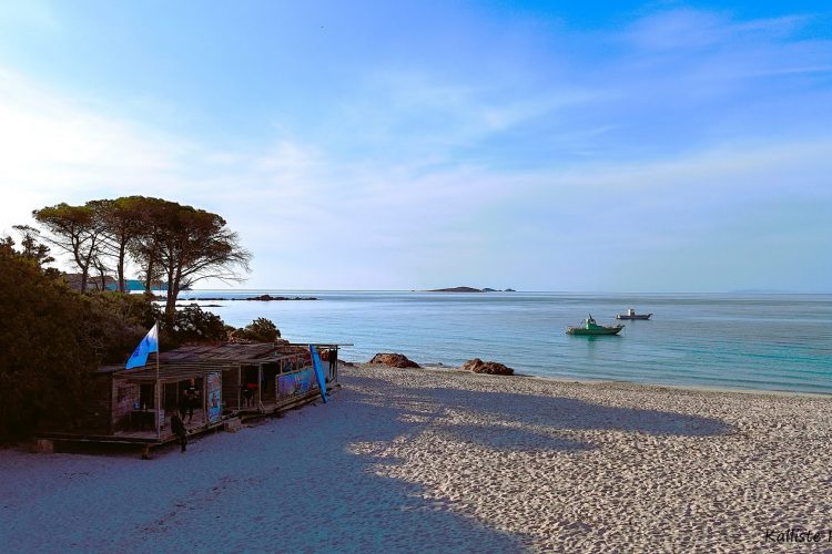 Paillote   Plage de Palombaggia