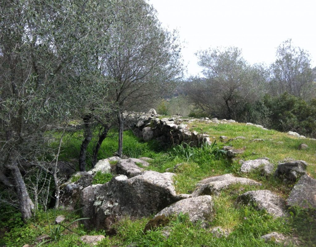 site_archeologique_tappa_corse