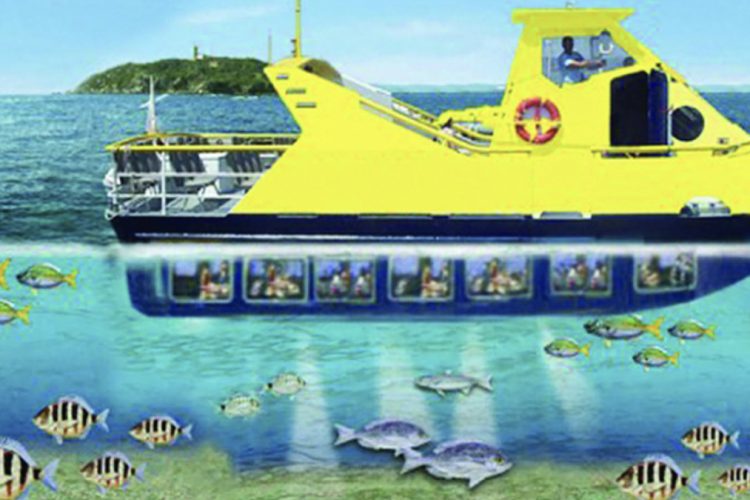 1 aquavision vision sous marine pianrello fonds marins corse