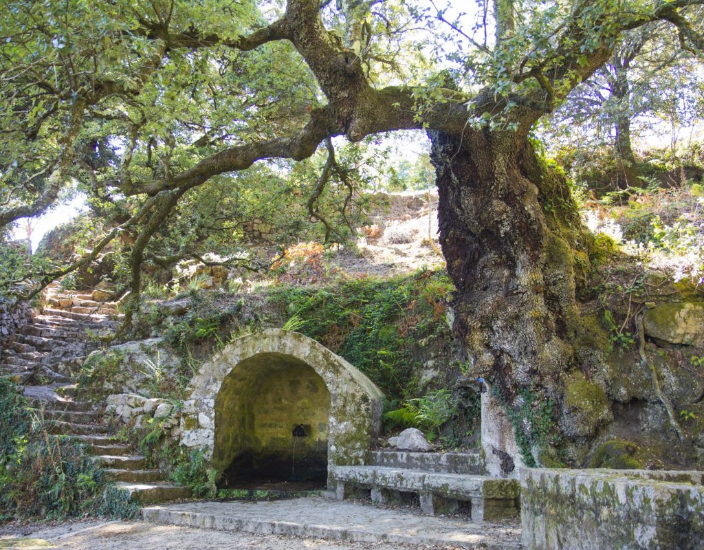 carbini sentier patrimoine giovannali corse