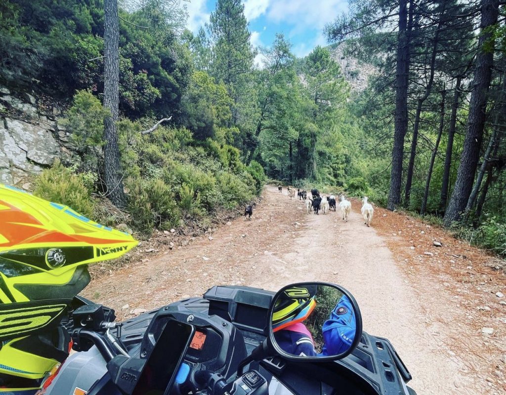 corsica mountain quad buggy ospedale bavella montagne corse