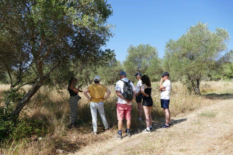 photo de la visite guidée dans le maquis