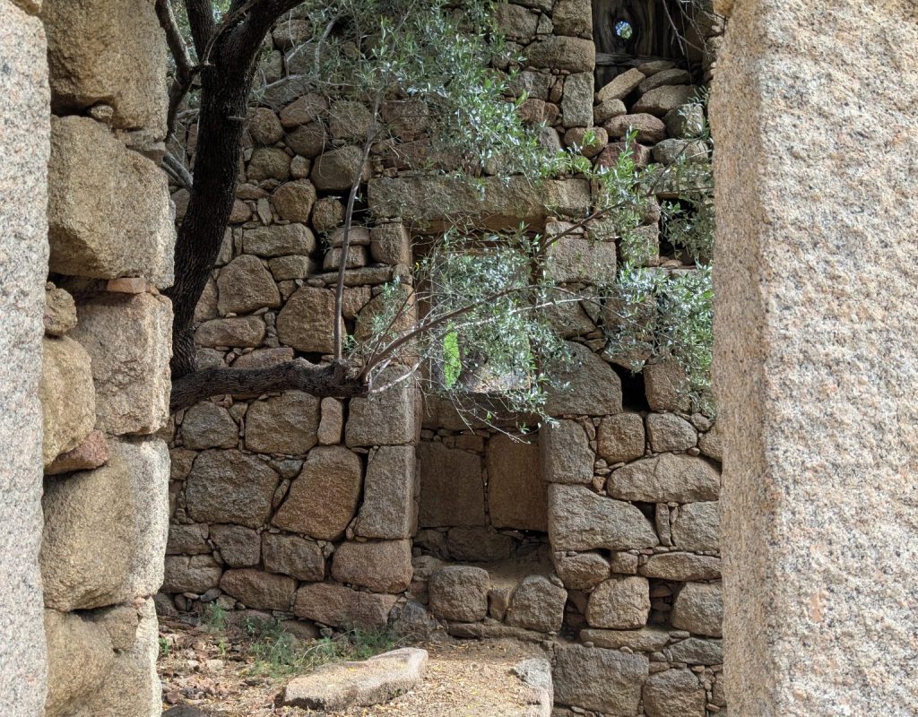 3 Ens. agric. d'Iddastricciola I Strittoni 3