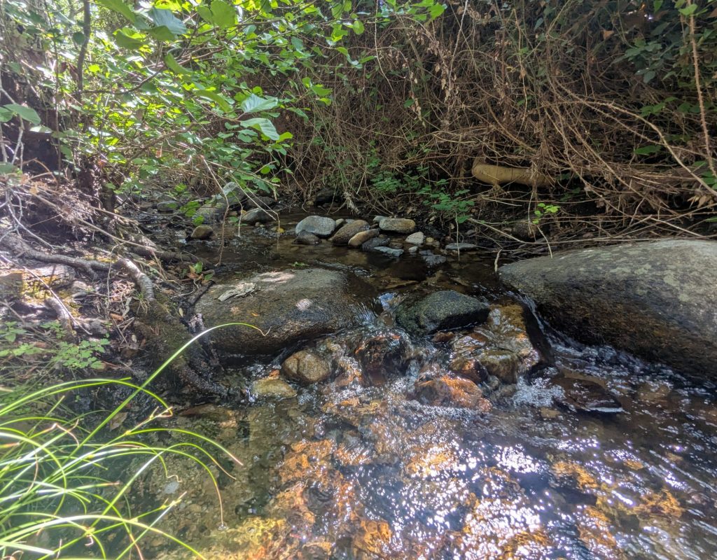 8 Le Moulin de Tiadore et le travail du blé I Strittoni 1