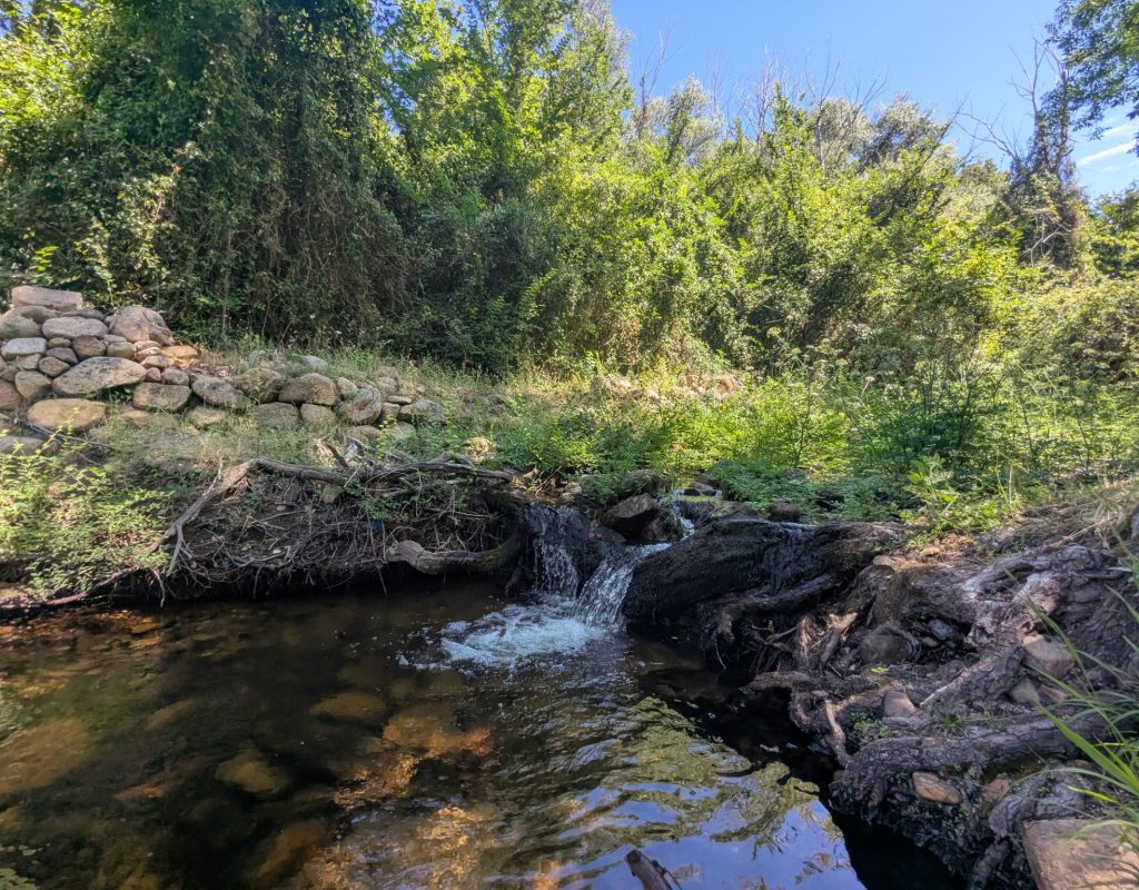 8 Le Moulin de Tiadore et le travail du blé I Strittoni 5