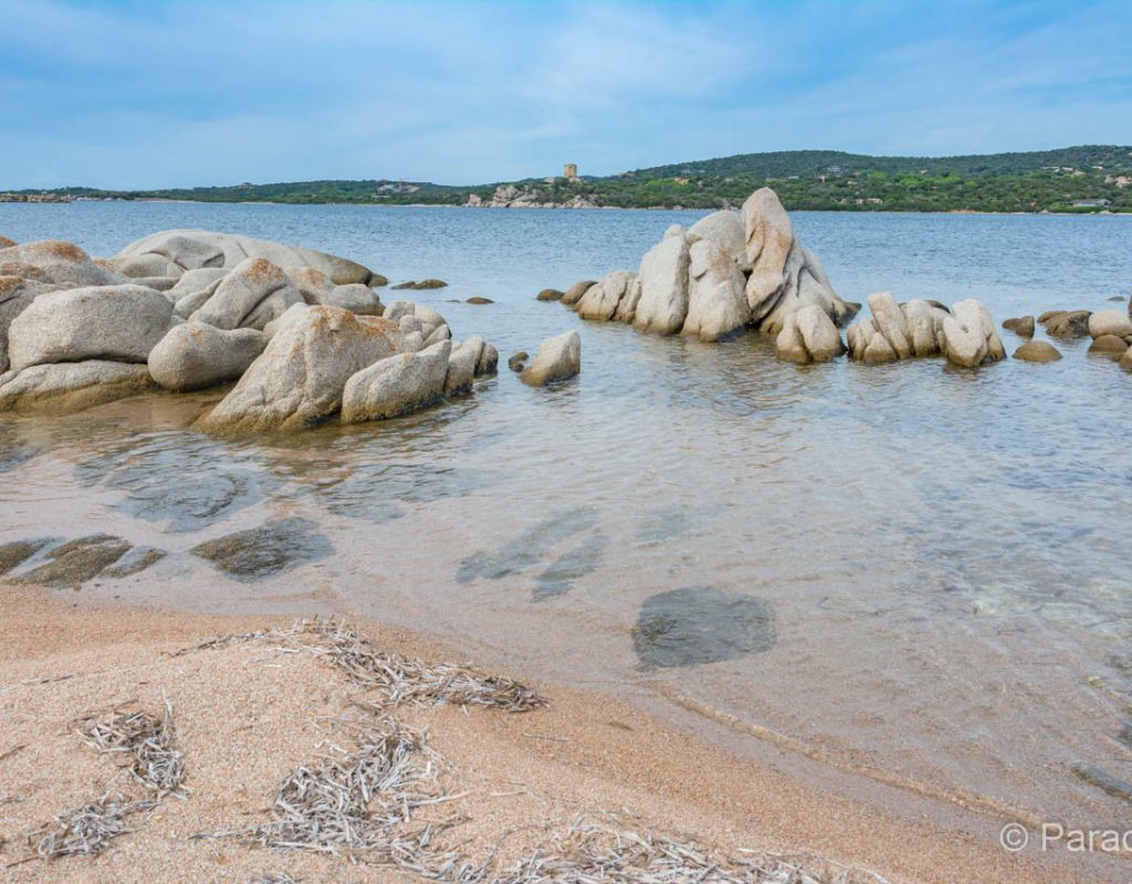 plage de figari 2