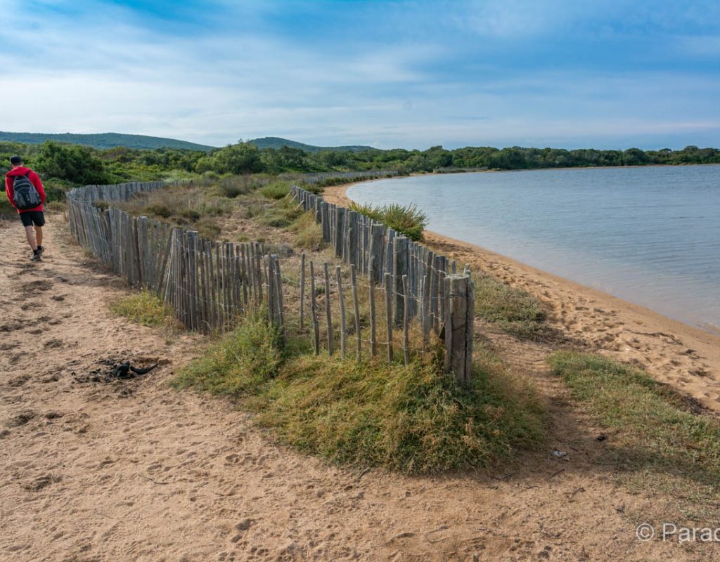 plage de figari 2