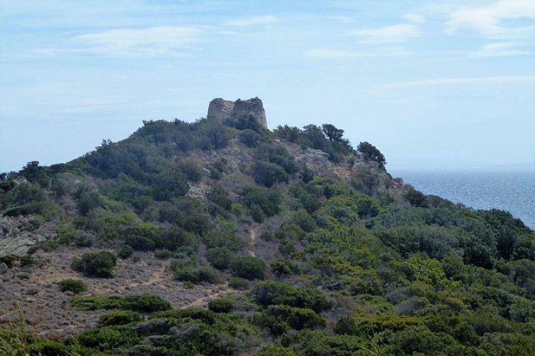 Tour génoise de Sponsaglia Rondinara à Bonifacio