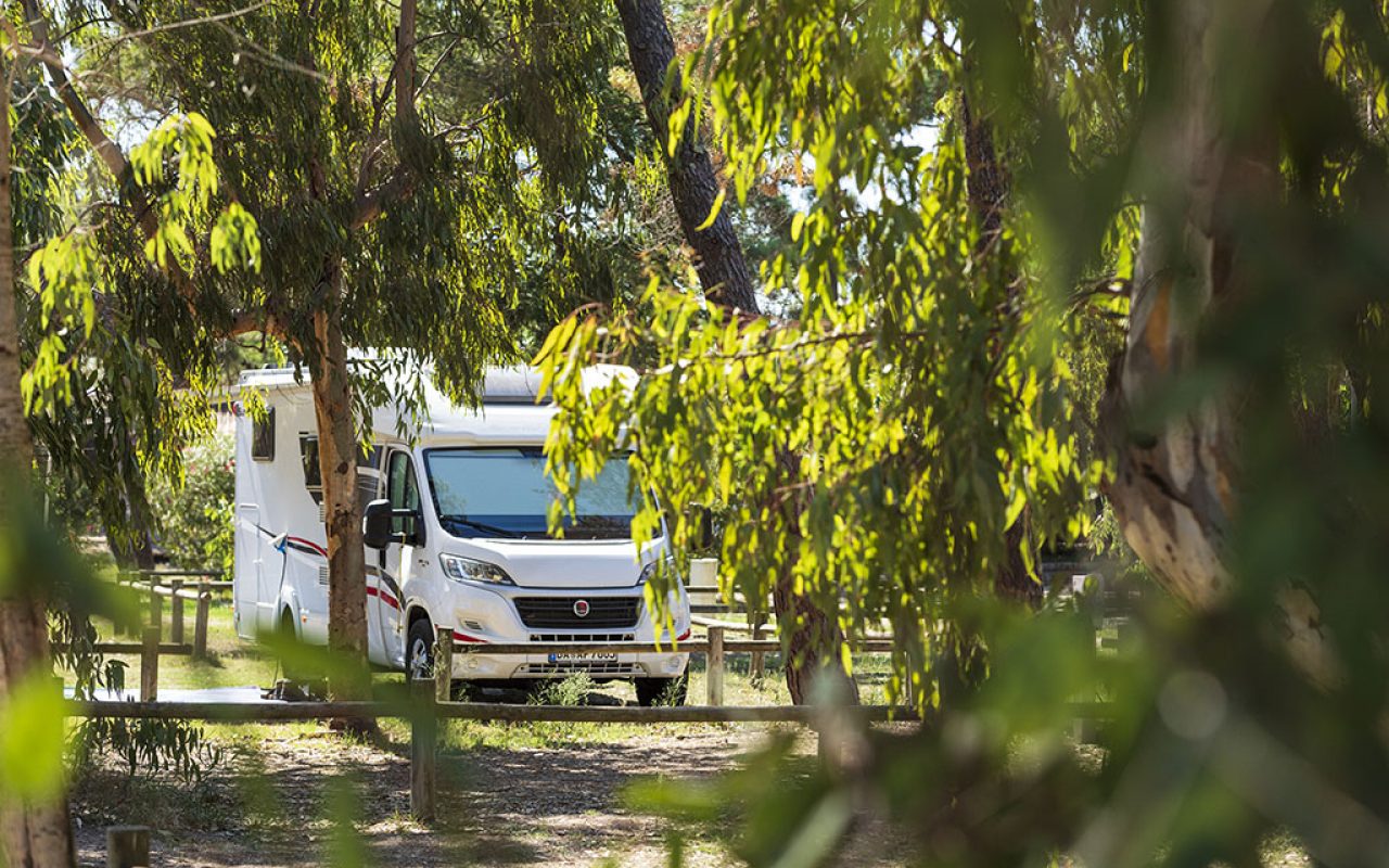 camping golfo di sogno corse