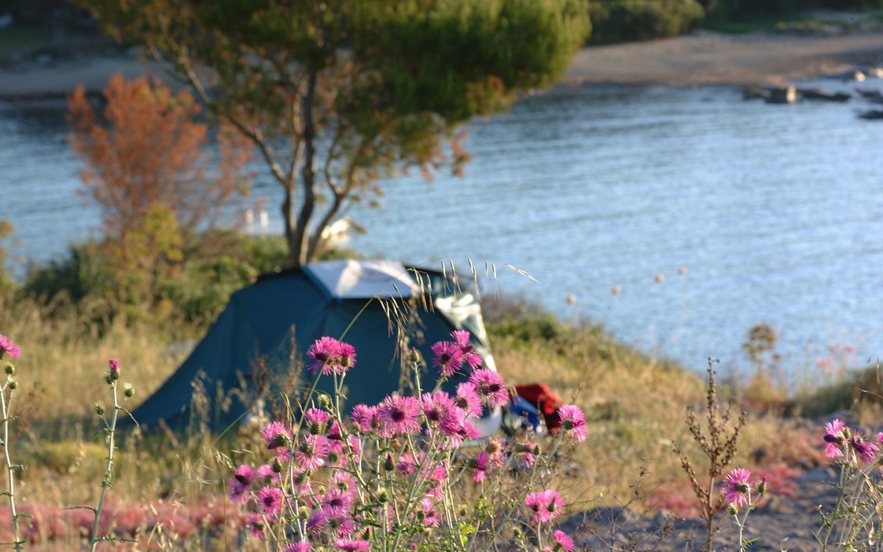 Campsite