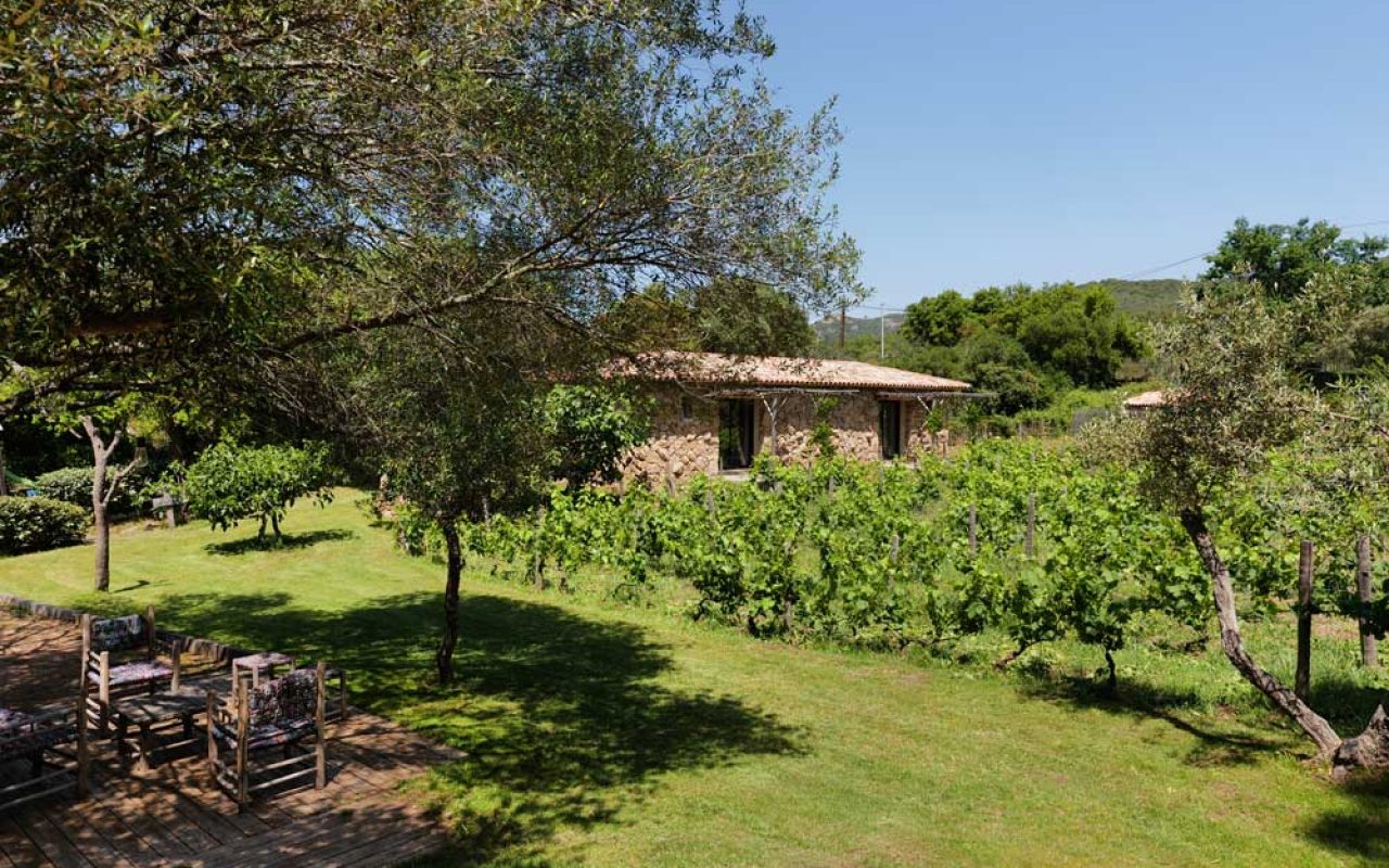 domaine pozzo di mastri figari