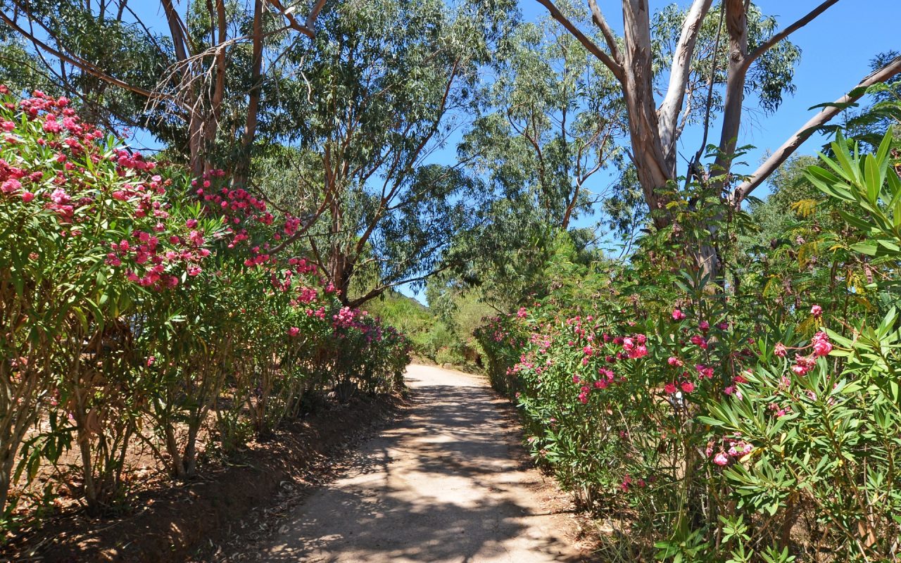 camping bella vista corse du sud