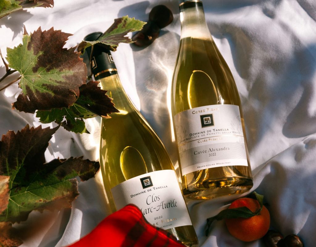 3-vigneron-domaine-tanella-fromage-vin-porto-vecchio-corse