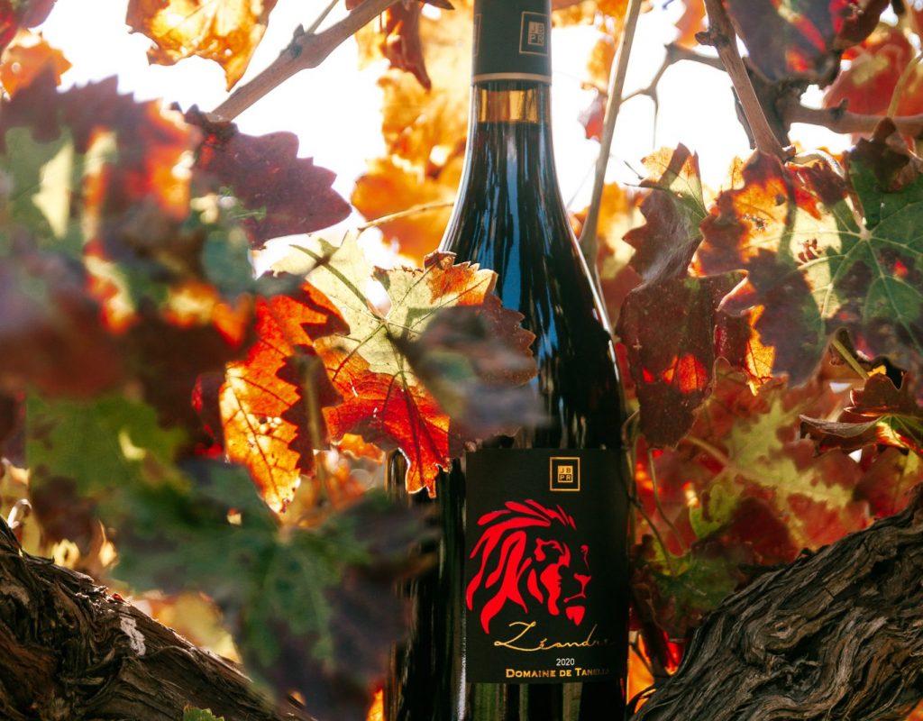 5-vigneron-domaine-tanella-fromage-vin-porto-vecchio-corse