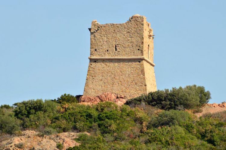 La Tour génoise de Pinarellu