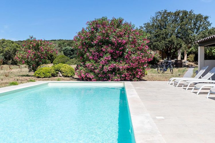 i-tree-fratelli-location-vacances-pianottoli-corse-sud