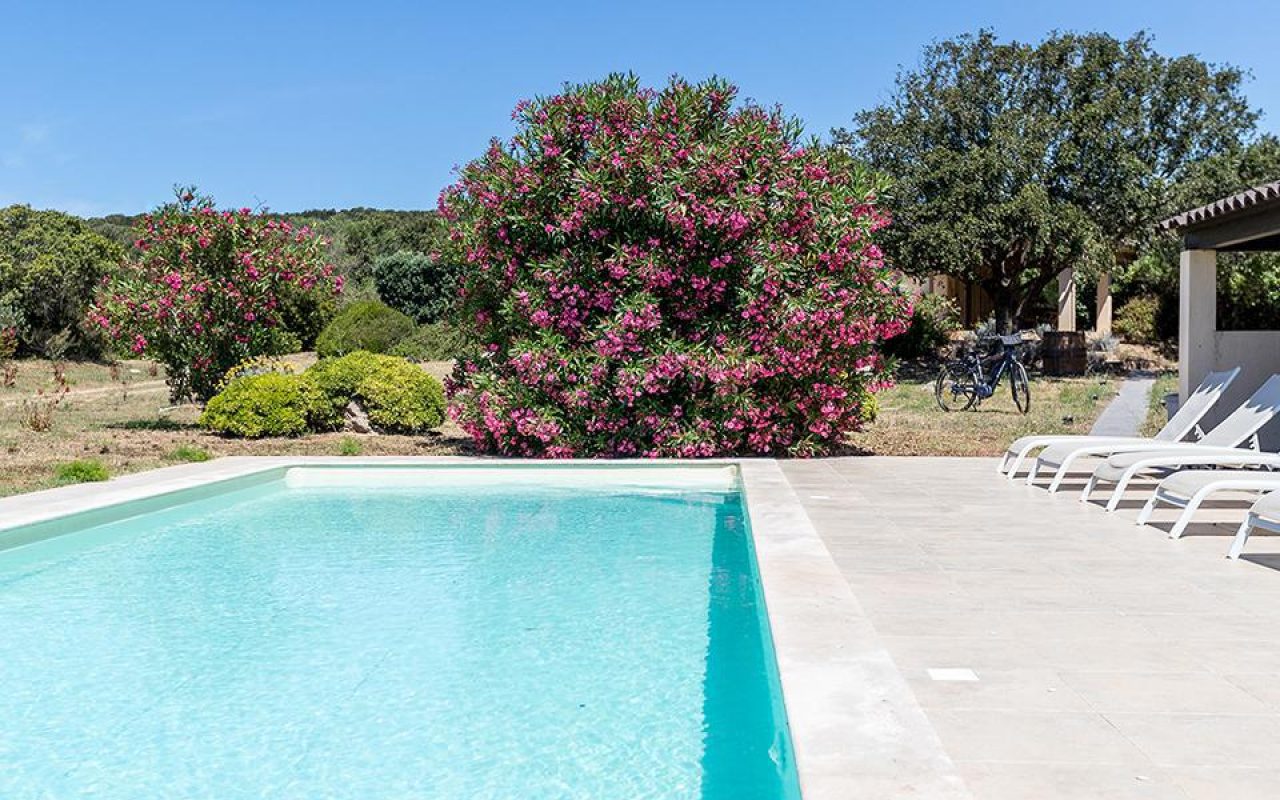 i tree fratelli vermietung ferien pianottoli corse sud