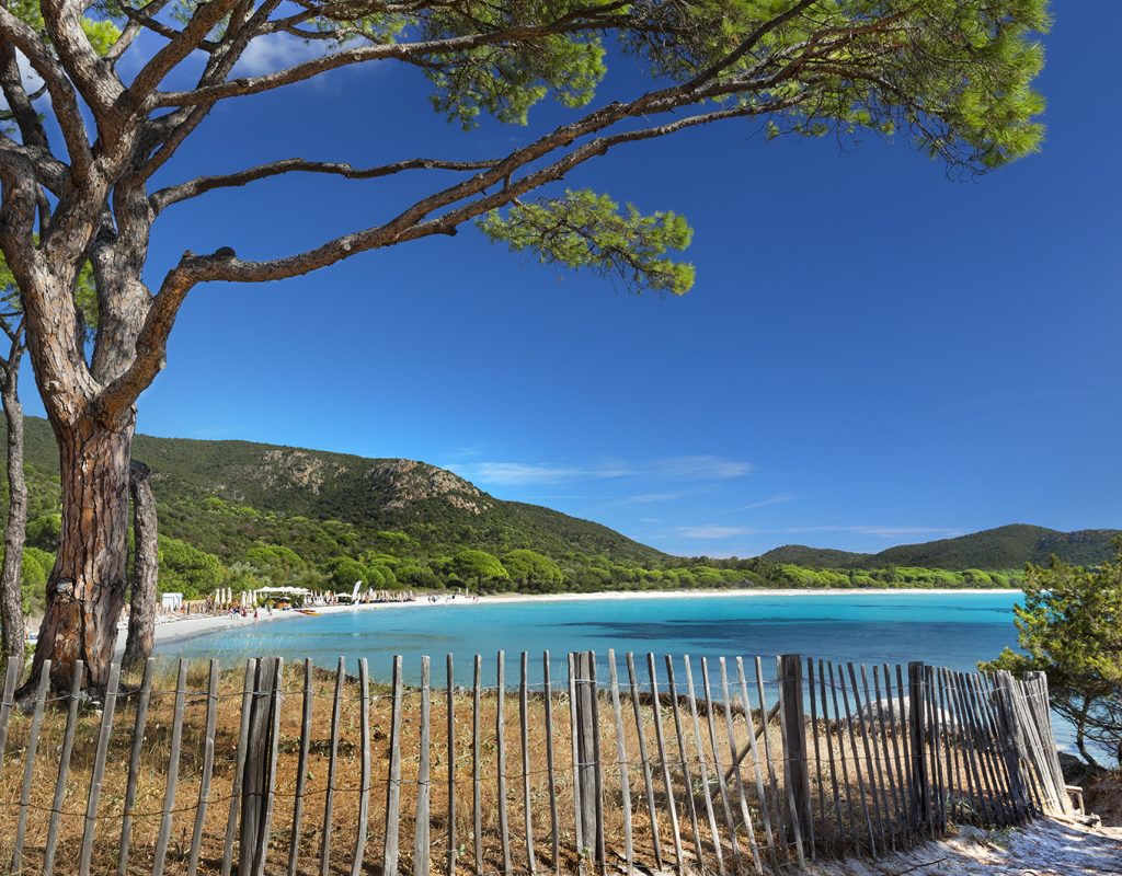 strand_palombaggia_bonifacio