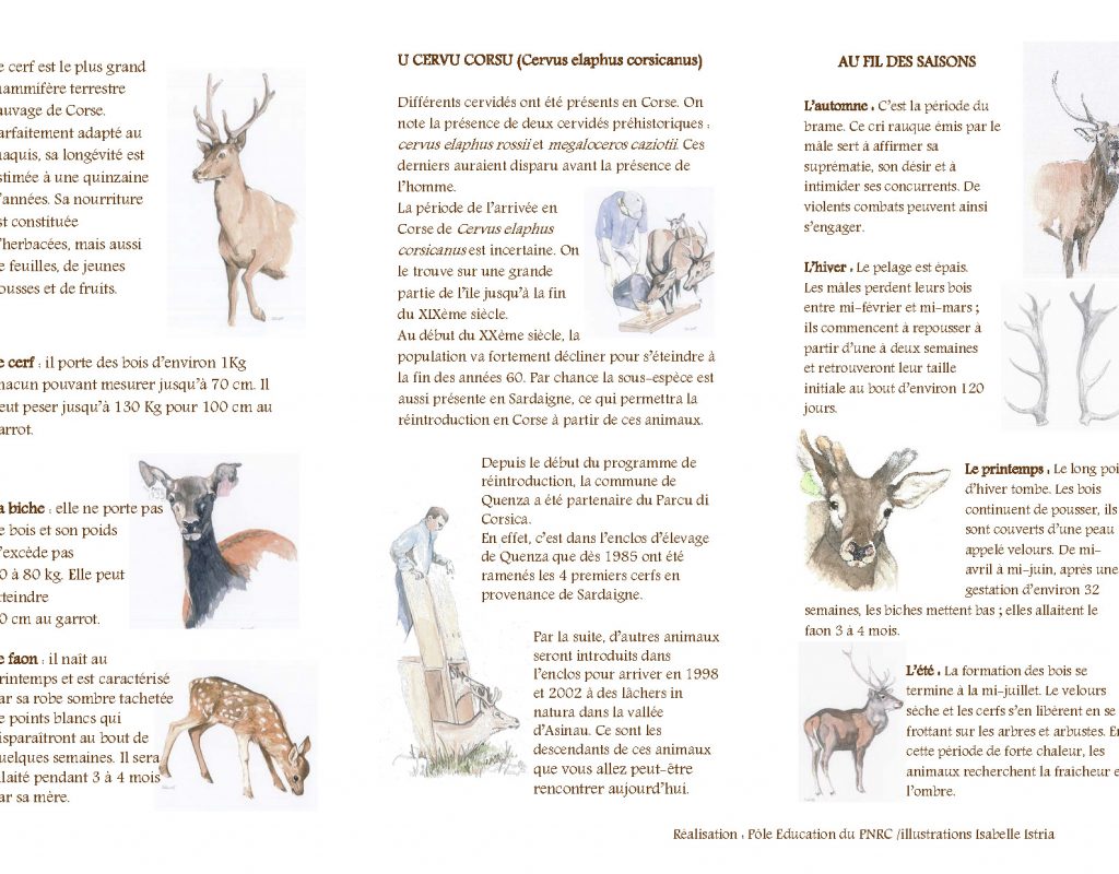 brochure sentier sur les traces du cerf quenza